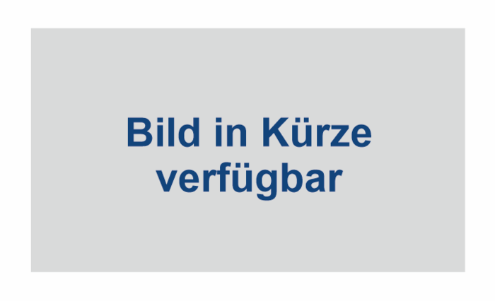 Bild-Folgt-2